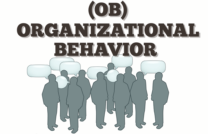 organizational behaviour group assignment